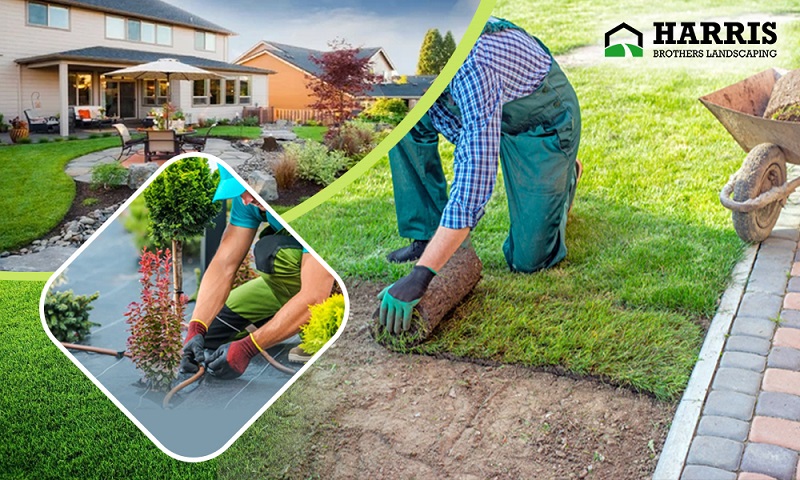 Transform Your Outdoors with Expert Residential Landscaping  - New Jersey - Jersey City ID1609587