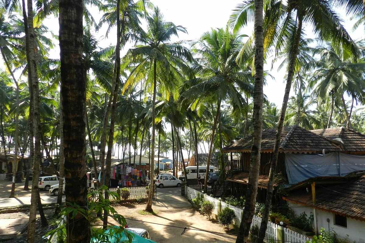 Hotels Near Palolem Beach - Goa - Panaji ID1548128 4
