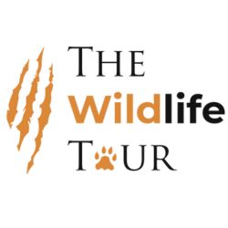 Wildlife Adventures Tiger Safari India - Uttar Pradesh - Agra ID1560130