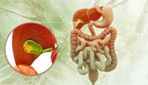 Best Surgeon for Gallstones in Kolkata  Dr Purnendu Roy - West Bengal - Kolkata ID1593296