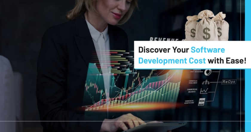 Discover Your Software Development Cost with Ease! - Alabama - Birmingham ID1546202