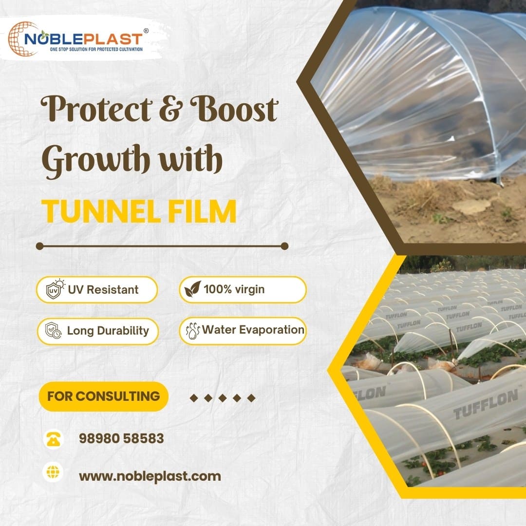 Agricultural Tunnel Film  UV Resistant Greenhouse Plastic f - Tamil Nadu - Madurai ID1614378