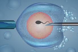 Free Fertility Consultation  Get Your Experts Advice  Bes - Karnataka - Bangalore ID1592283