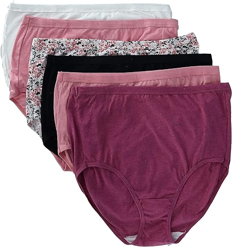 Fruit of the Loom Womens Eversoft Cotton Brief Underwear T - New York - Albany ID1553561 2