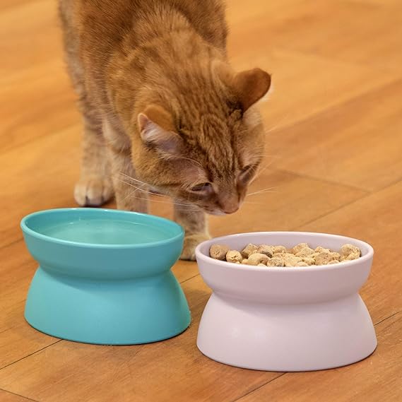  Kitty City Raised Cat Food Bowl CollectionStress Free Pet  - New York - Albany ID1551188 3