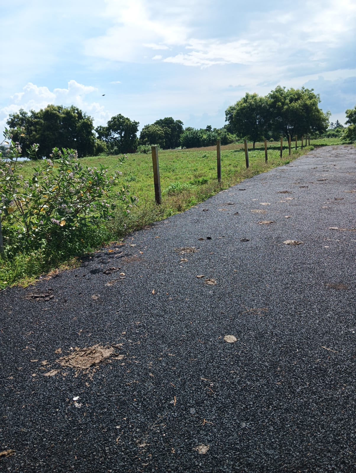 DTCP APPROVED PLOTS FOR SALE AT VEPPAMBATTU - Tamil Nadu - Chennai ID1594559