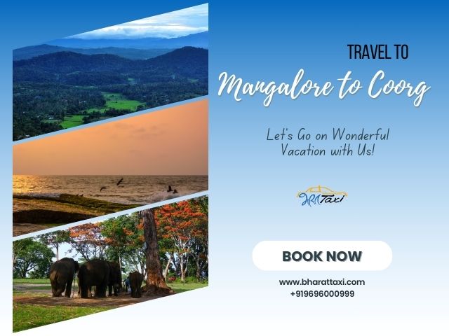 Taxi from Mangalore to Coorg - Karnataka - Mangalore ID1603236