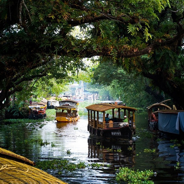 Discover the Magic of Kerala  Book Affordable  Customize - Kerala - Kochi ID1609921 2