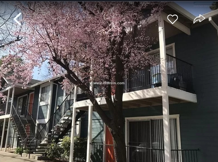 Apartment For Rent  - California - Redwood City ID1552630 2