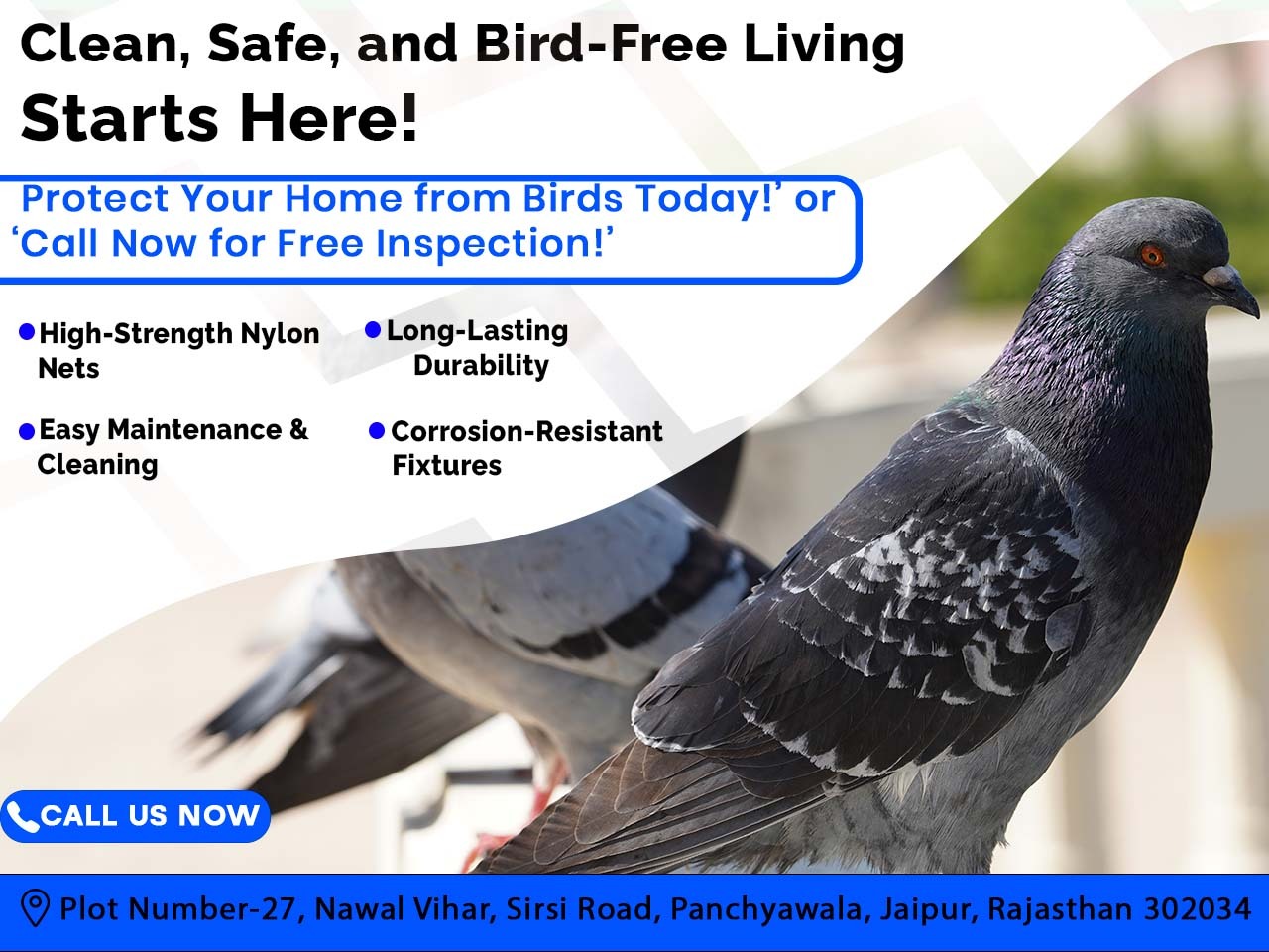 Keep Birds Away with Invisible Grills in Jaipur - Rajasthan - Jaipur ID1616847