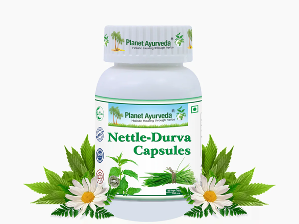 NettleDurva Capsules  Health Benefits and Medicinal Uses - Chandigarh - Chandigarh ID1587063 1