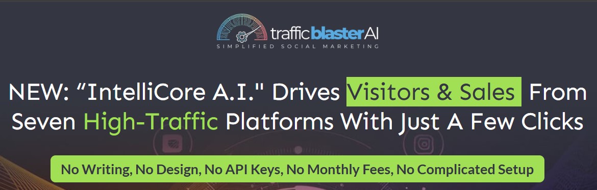 2025 Traffic Blaster AI Review - New York - Albany ID1591276 3