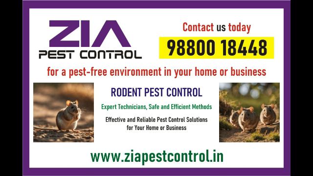 Rodent Control  Cockroach pest conttrol services  3060  U - Alabama - Birmingham ID1585591