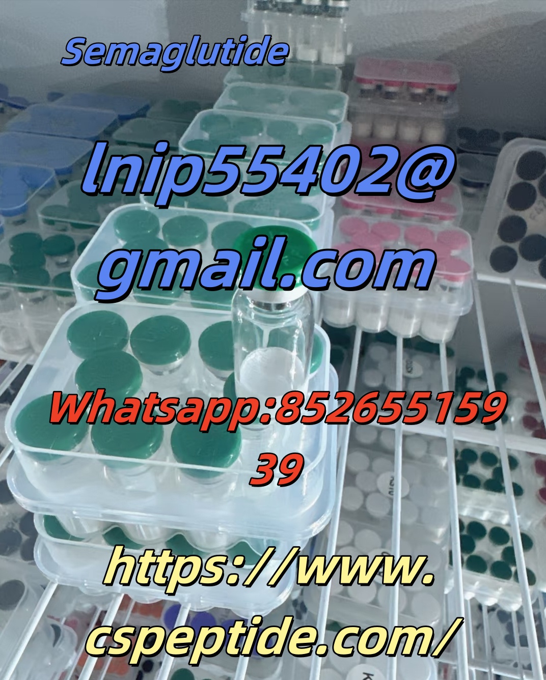 Do you want to lose weight Semaglutide - Chhattisgarh - Bilaspur ID1606313