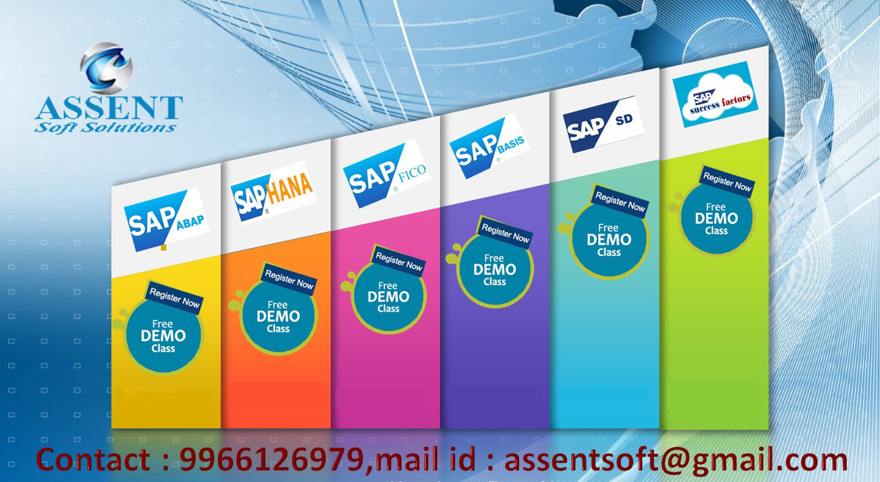 Saponline class with sarever access - Alabama - Birmingham ID1607985