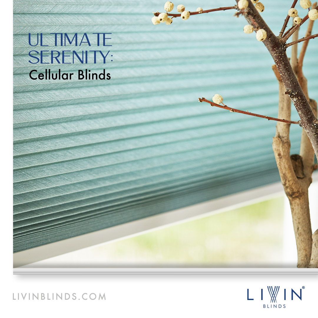 Livin Blinds Premium Cellular Shades - Delhi - Delhi ID1586591