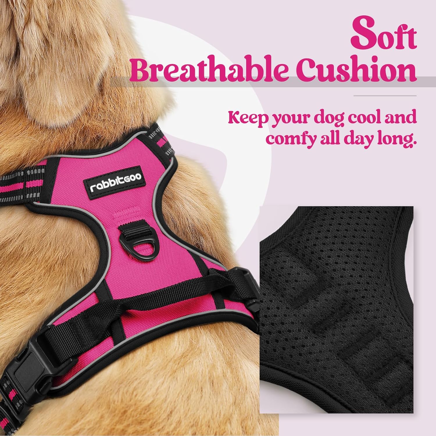 Rabbitgoo Dog Harness No Pull with 2 Leash Clips Review - New York - New York ID1597476 3
