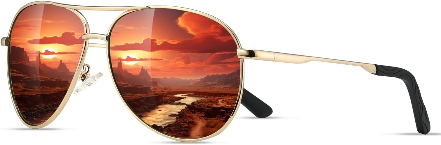 Eiuizah Polarized Aviator Sunglasses for Men - New York - Albany ID1586686
