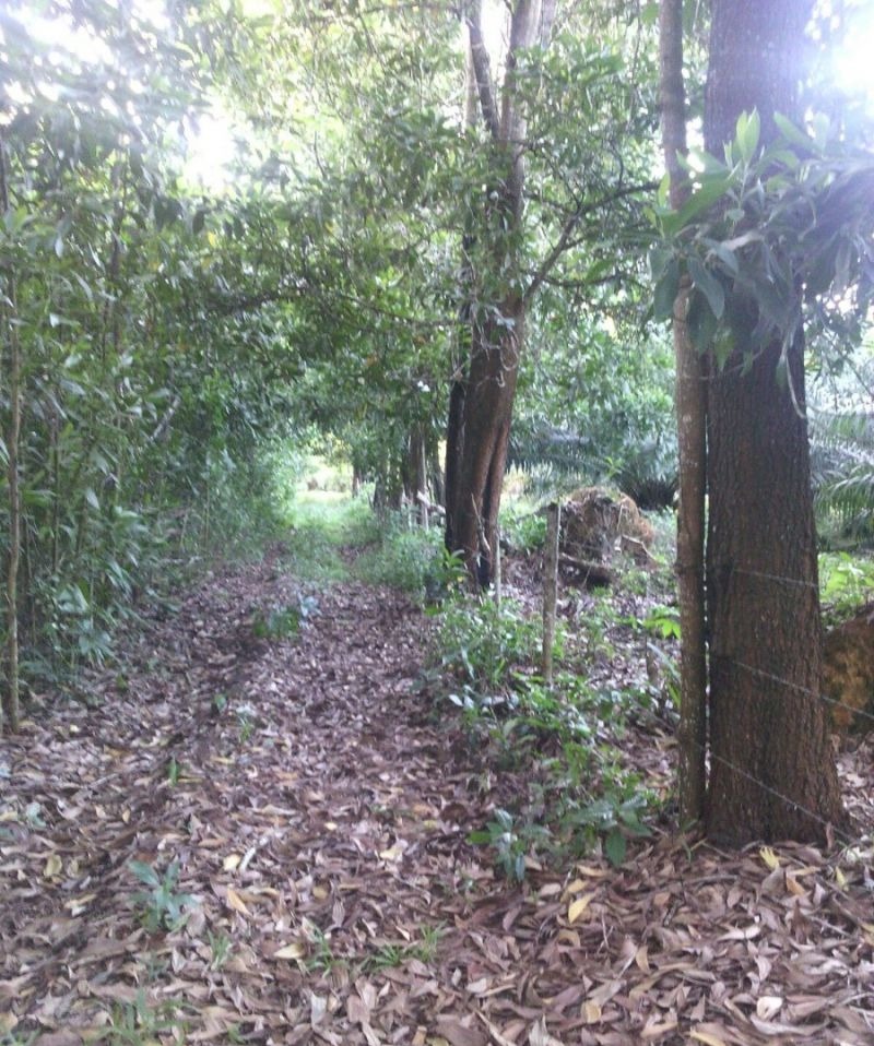 Fincas En Venta Monte Plata!! - New York - New York ID1610927 2