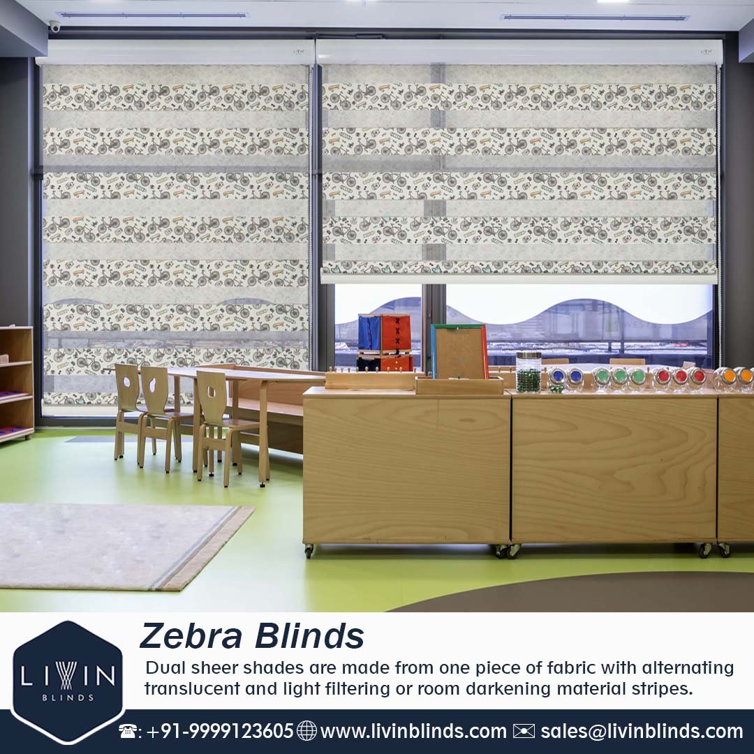 Create a Serene Ambience with Blackout Zebra Blinds - Delhi - Delhi ID1589939