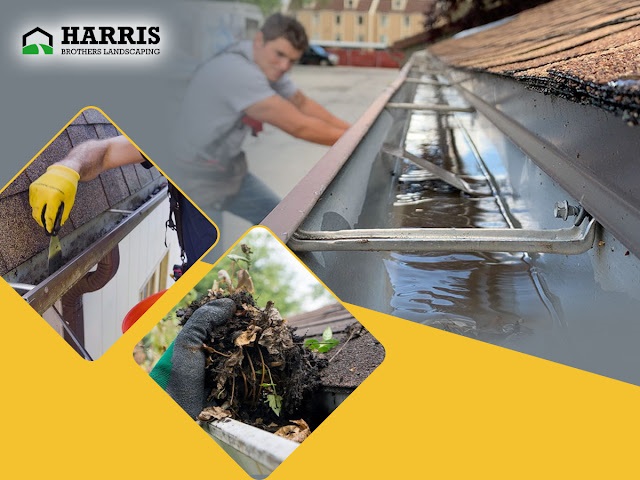  Hammontons Trusted Gutter Cleaning Experts  Harris Brot - New Jersey - Jersey City ID1617668
