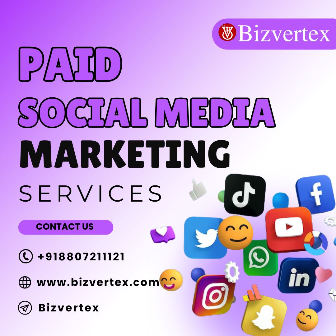 The Impact of Paid Social Media Advertising on Business Grow - Illinois - Chicago ID1586612