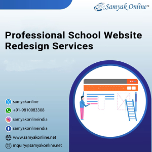 Professional School Website Redesign Services - Delhi - Delhi ID1599596