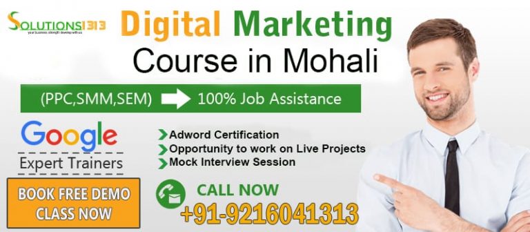 Digital Marketing Course in Mohali - Chandigarh - Chandigarh ID1548500