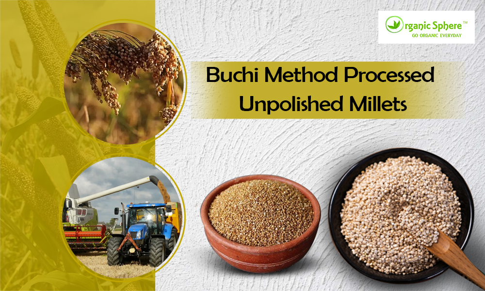 Explore Buchi Method Processed Unpolished Millets - Texas - Dallas ID1551945