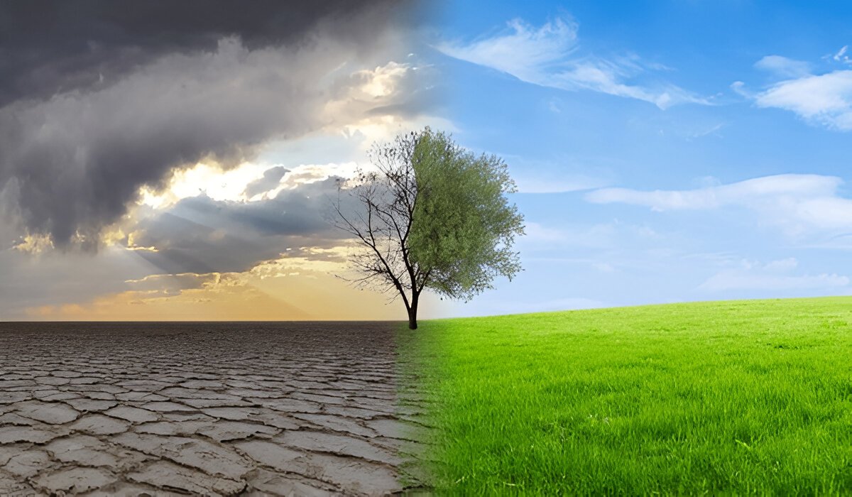 The Impact of Deforestation on Climate Change Causes Effec - Haryana - Sonipat ID1602698