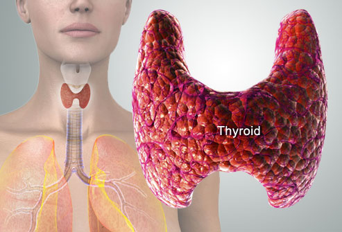 Discover Relief Expert Hyperthyroidism Treatment in NYC - New York - New York ID1551603