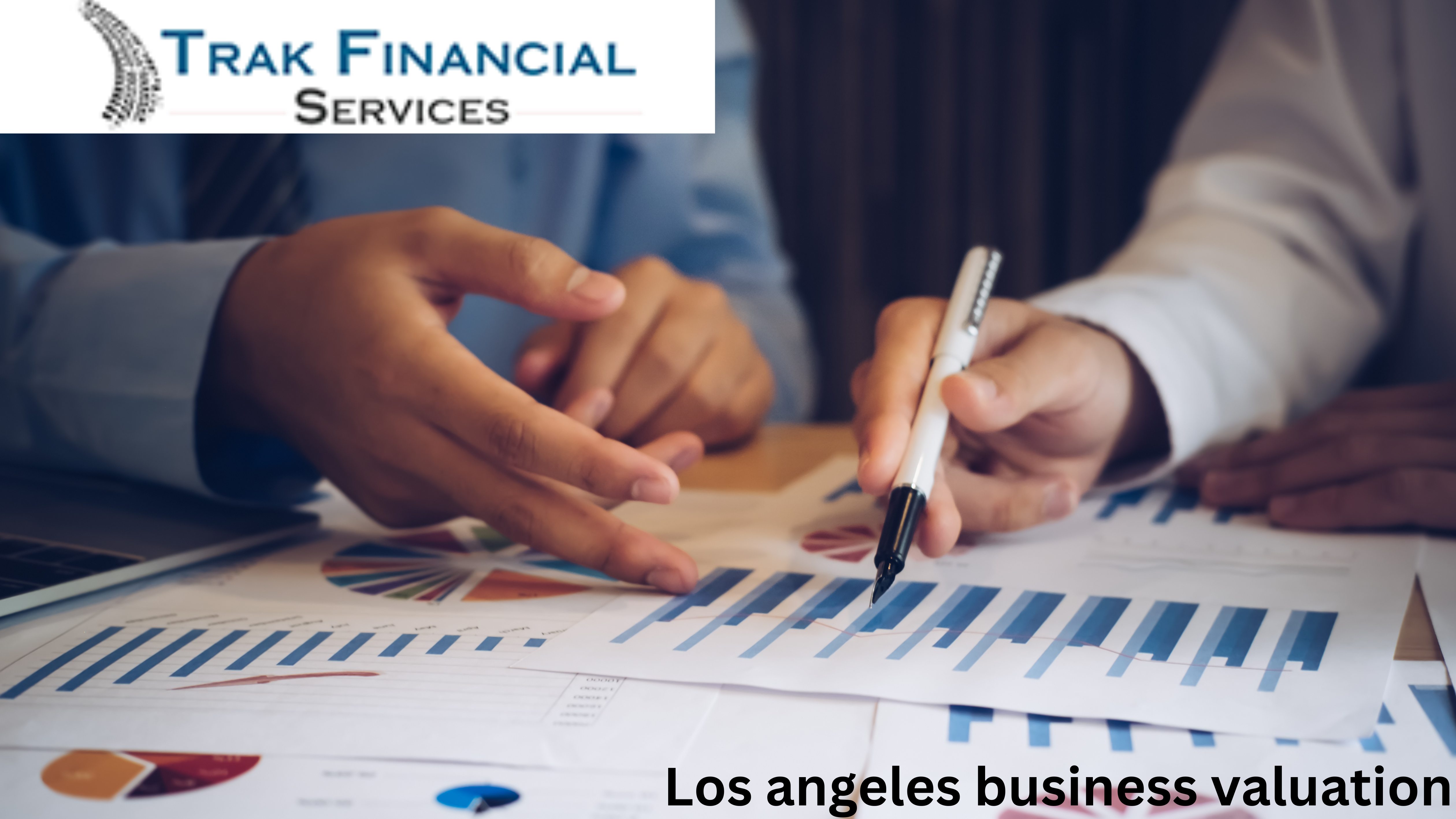 Business Appraisal Services - California - Cupertino ID1511266