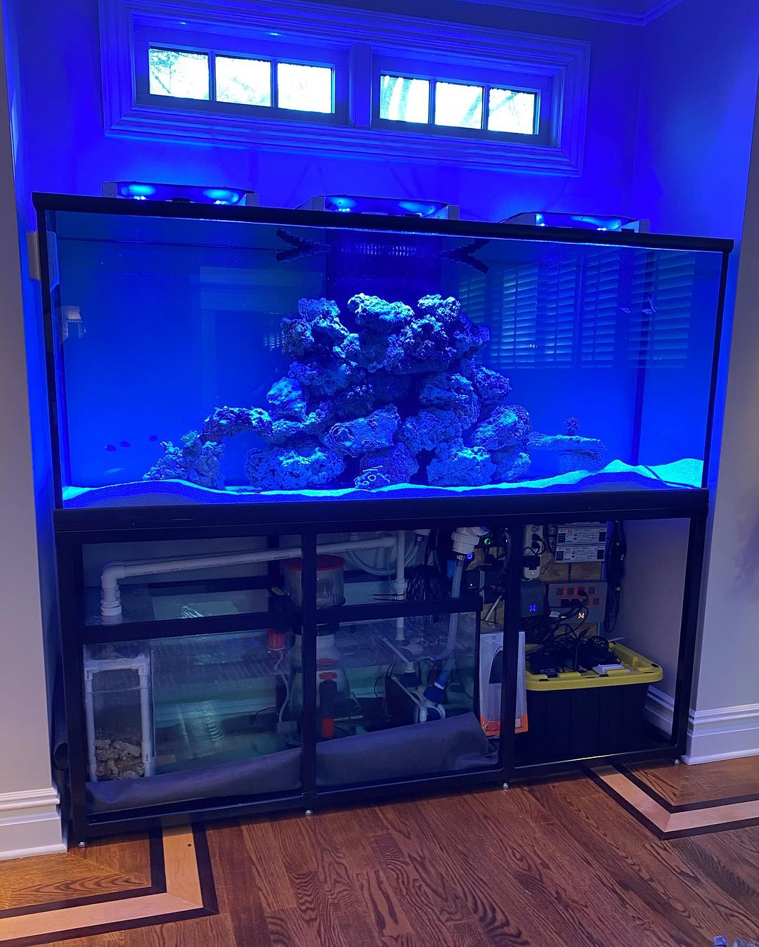 Discover Amazing Aquariums with JKFish Services - New Jersey - Jersey City ID1520458