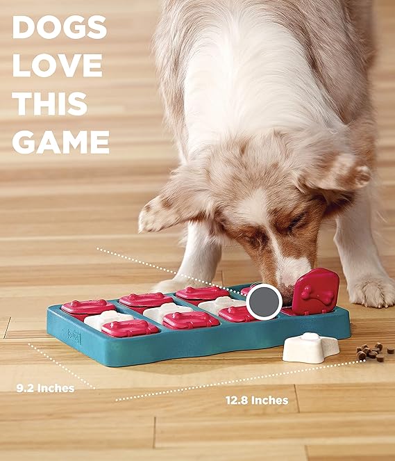 Outward Hound Nina Ottosson Dog Brick Dog Puzzle Interactive - New York - Albany ID1551004 3