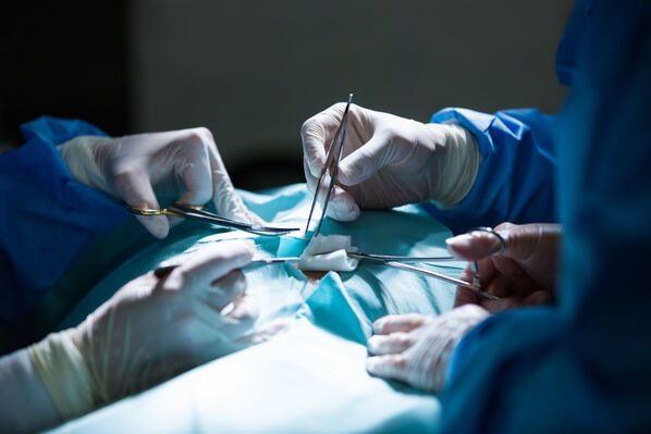 Best Laparoscopic Surgeon in Kolkata for Advanced Minimally  - West Bengal - Kolkata ID1610043