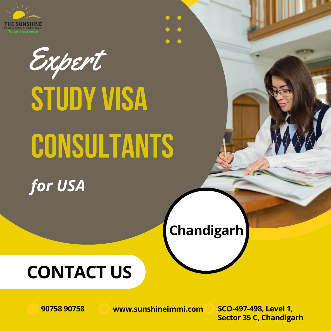 Expert Study Visa Consultants for USA Your Path to Educatio - Chandigarh - Chandigarh ID1588313