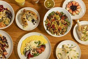 Wholesome and Delicious Dining at Ecclesiastes Cafe in Kolka - West Bengal - Kolkata ID1600010
