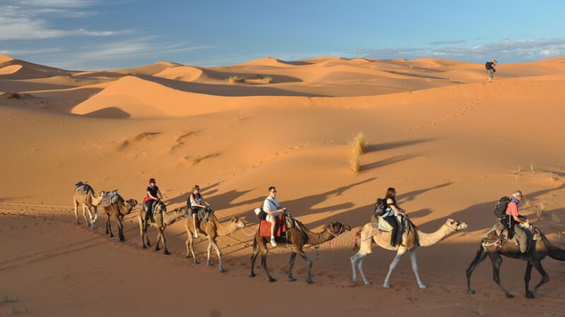 Private Sahara Desert tour from Marrakech - New York - New York ID1590057 4