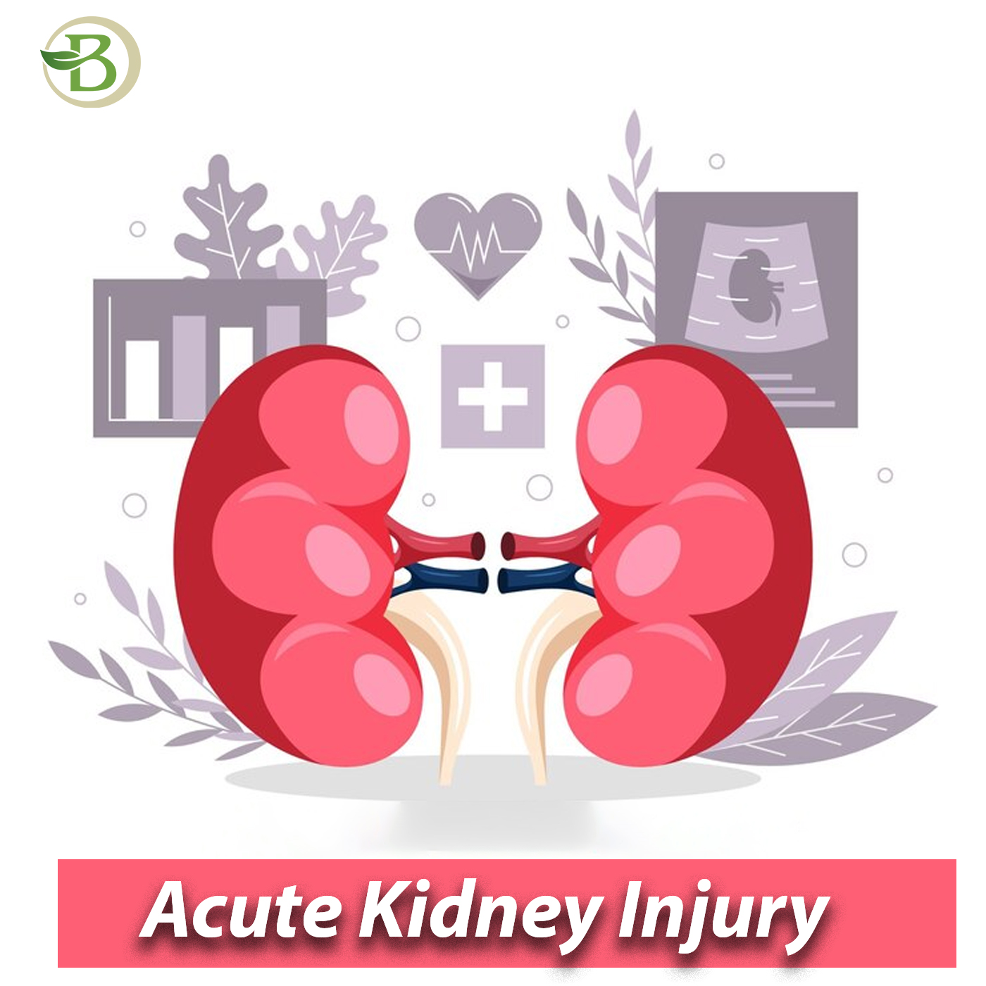 Complete Renal Care and Treatment Rejuvenation for Life - Haryana - Gurgaon ID1520240