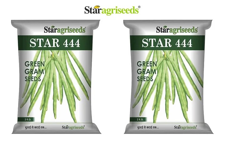 Buy Star 444 Mung Dal Seeds Online in India  Star Agri Seed - Rajasthan - Ganganagar ID1595344 1