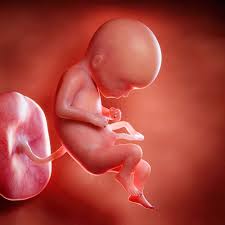 Boost Maternal Health with Prenatalin Supplements - Alaska - Anchorage ID1518706 3