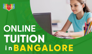 Tuition in Bengaluru for Class 11 Build a Strong Academic B - Uttar Pradesh - Noida ID1608548