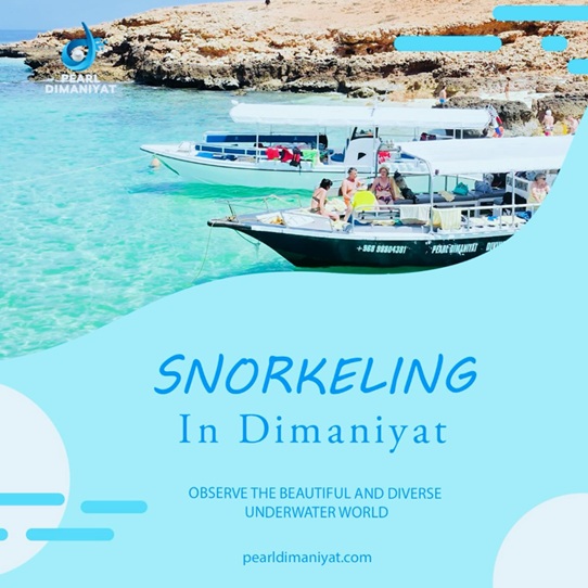 Snorkeling in oman - New York - New York ID1615064