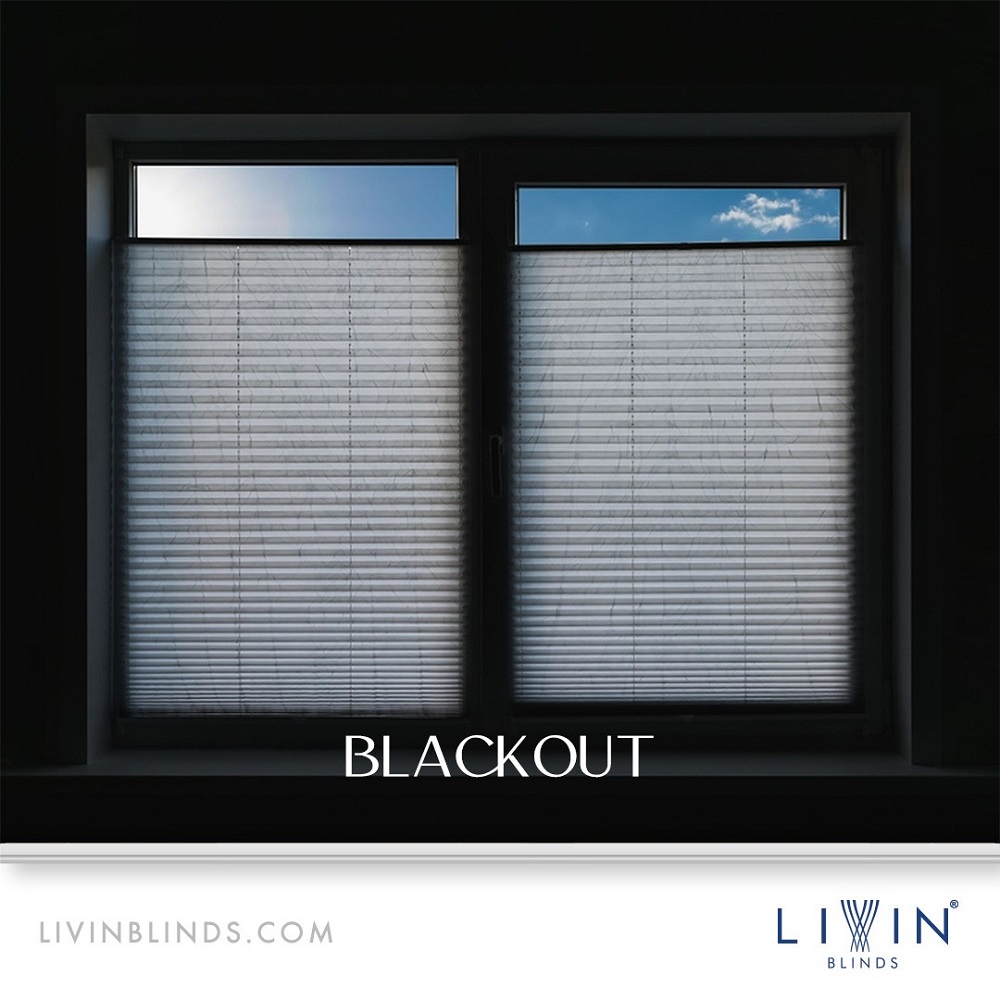 Create the Perfect Atmosphere with Blackout Zebra Blinds - Delhi - Delhi ID1586186