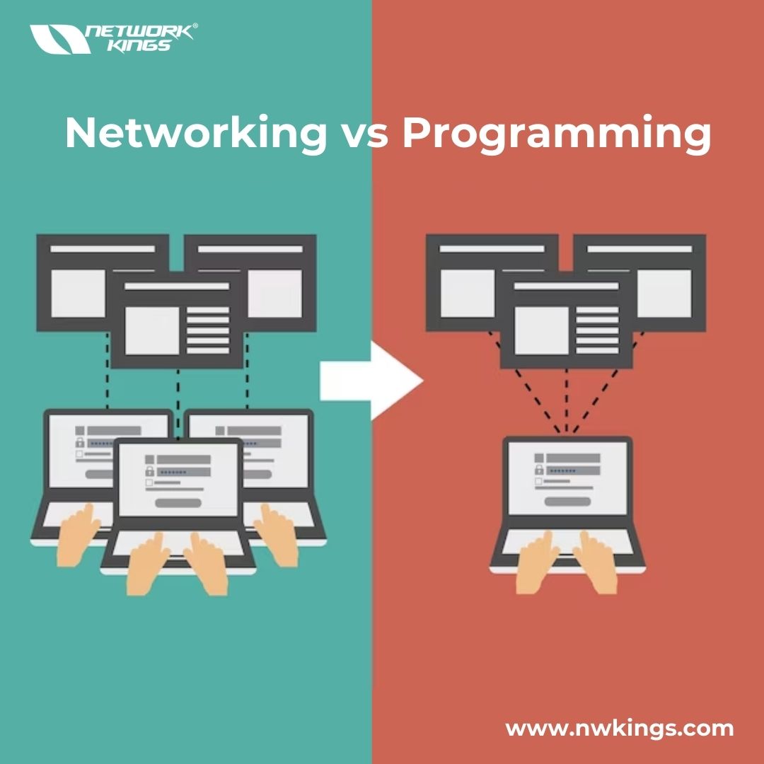 Networking vs Programming  Network kings - Chandigarh - Chandigarh ID1532466