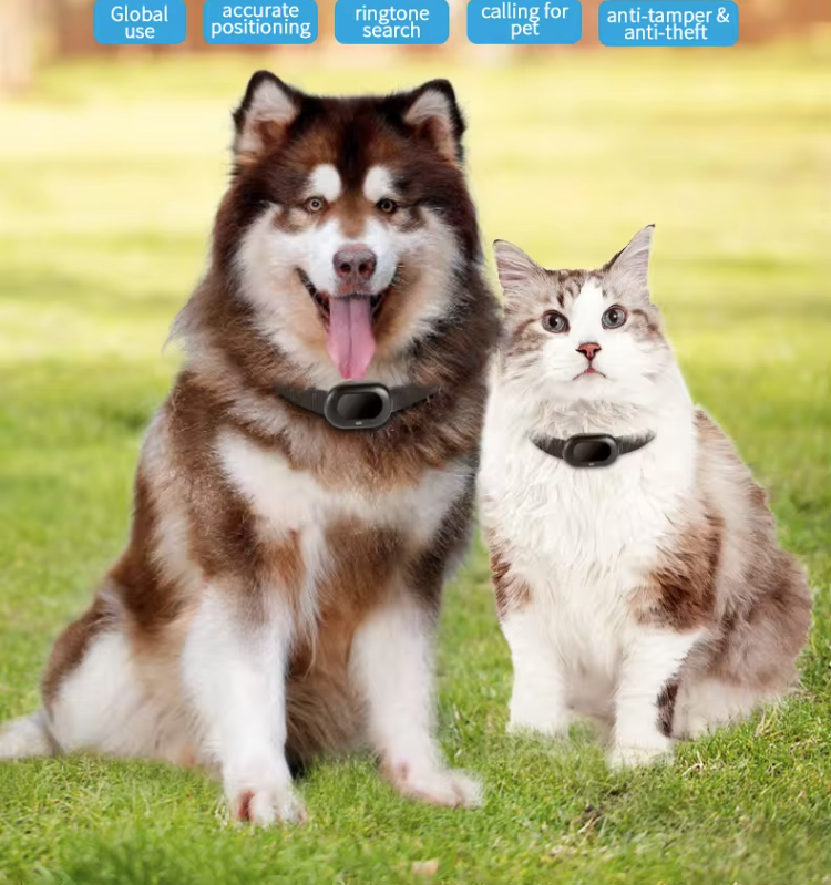 RFV41 4G LTE TDD Pet GPS Tracker Free Tracking Application  - Florida - Clearwater ID1612210