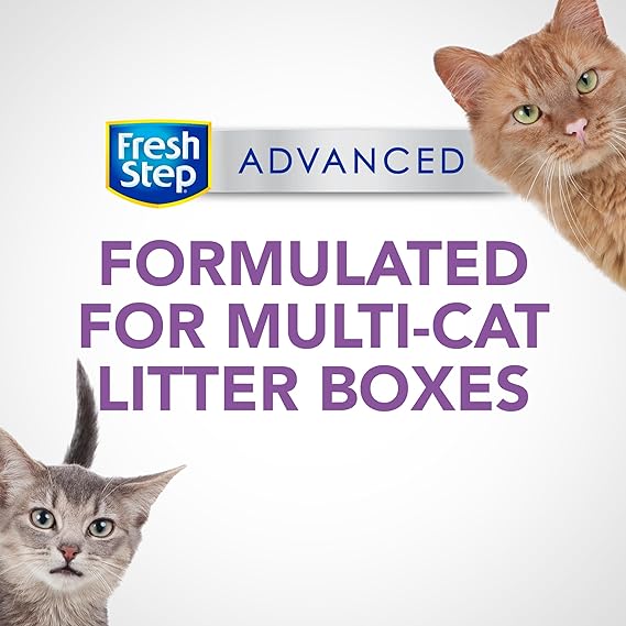 Fresh Step Clumping Cat Litter Advanced MultiCat Odor Con - New York - Albany ID1556674 2