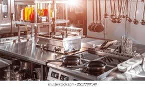 Commercial Kitchen Equipment Manufacturer - Delhi - Delhi ID1620910