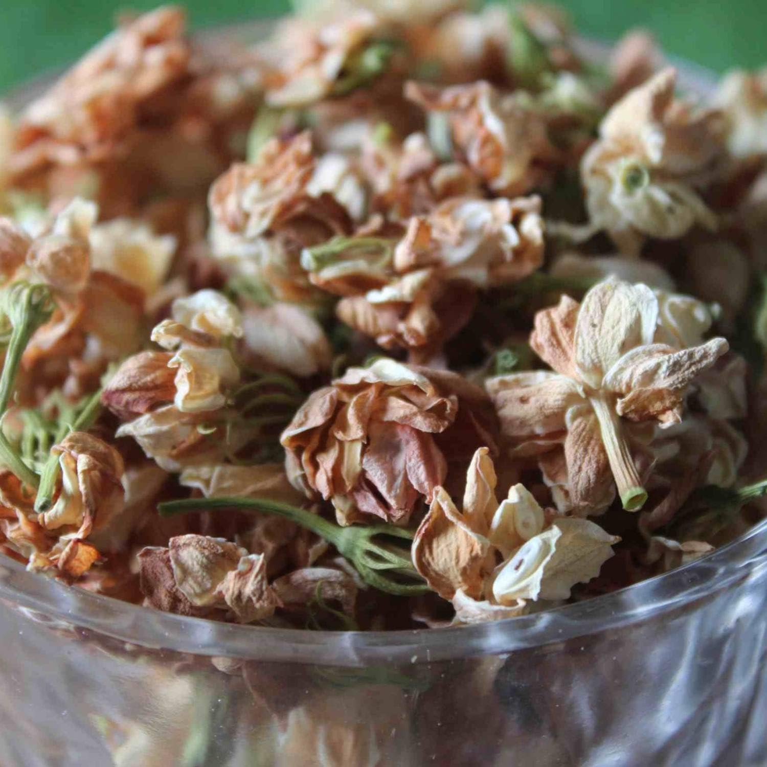 Pure Jasmine Buds for a Delightful Tea Experience - North Carolina - Durham ID1588877 2