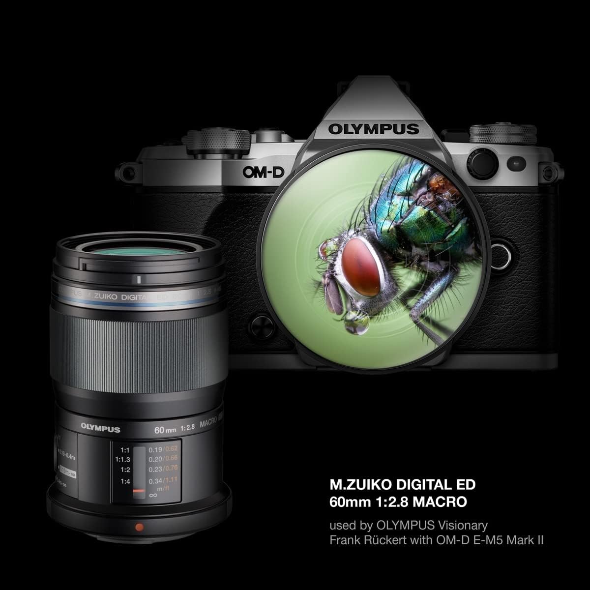 OM SYSTEM OLYMPUS MZuiko Digital ED 60mm F28 Macro For  - New York - Albany ID1561068 2